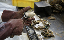 �����X�e�[�V�����z�e���@�A�l�b�N�X