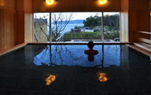 熱海温泉 ホテルニューアカオ ロイヤルウイング