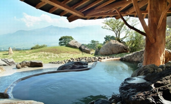 �z�e���O���[���s�A�숢�h