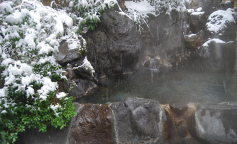 �쎡����@���h�@���R�t