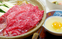 �󒎉���@�w���V�[�C���@�����ނ�