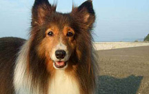 �ɐ��񌩁@�����Ɣ��܂�闷�ف@�܂���