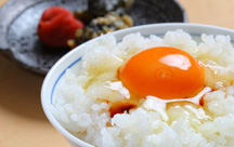 �z�e���@�A�o���[���I�̍�