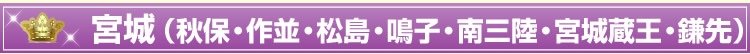 宮城(秋保・作並・松島・鳴子・南三陸・宮城蔵王・鎌先)