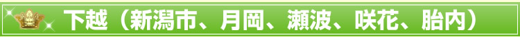 下越(新潟市、月岡、瀬波、咲花、胎内)