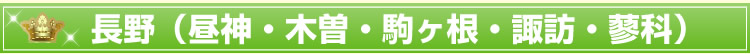 長野(昼神・木曽・駒ヶ根・諏訪・蓼科)