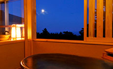 �S���I�V���C�t�q���@�ɓ������̉B��h�@��������������