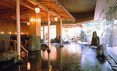 �`�Ȑ��̒�`�@�z�e���ʐ�