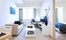 �t���C�U�[���W�f���X��C���