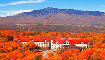 ���y��򉷐�@�z�e���O���[���v���U�y���