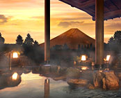 ��Ό�����@�z�e���O���[���v���U����