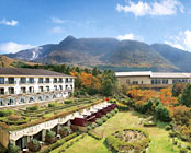 ��Ό�����@�z�e���O���[���v���U����