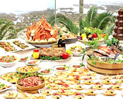 ������������@�z�e���O���[���v���U����