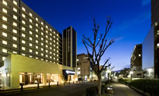 �_�C�����C�l�b�g�z�e���䓌