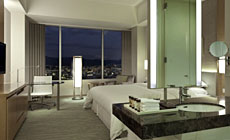 �V�F���g���z�e���L��