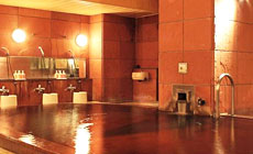 �эL�V�R����@�ӂ���z�e��