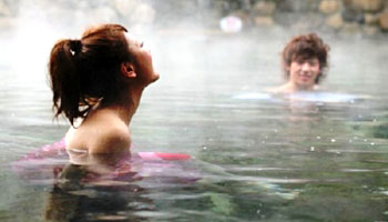 �ʑ�����@���V���̏h�@���y��