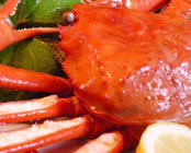 �F������@�F���e�T��