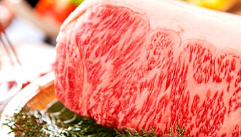 ���z�@����@�R�z�@���E�x���z�e��