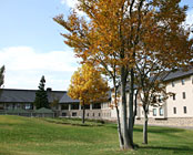 ���Ă܉���@���ԍ������]�[�g�@�x���i�e�B�I