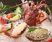 ���c����@�W�����f�B���}�[���]�m�t