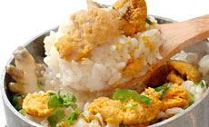 �������k������@��̉ԁ@�ĎR��