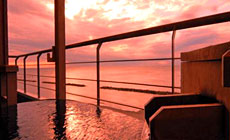 瀬波温泉 大観荘 せなみの湯