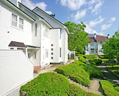 �ߐ{����@�s�n�v�`�s���A�R�e�[�W