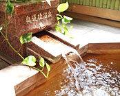 �z�e���ו�