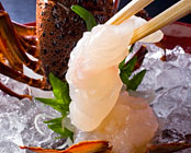 ���H�r���[�z�e���@�Ԑ^��