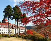 ���c�}�@�R�̃z�e��