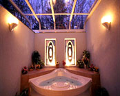 �J���g���[�n�E�X�@�p�f�B���g�����Ȗ،���