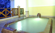 �ߐ{����@�z�e���O���[���p�[���ߐ{