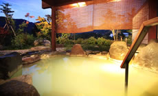 蔵王温泉 蔵王四季のホテル