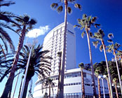 �M�C����@�M�C��y���z�e��