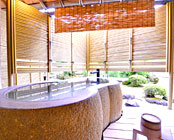 �M�C����@�É�����