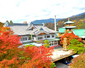 �{�m������@�x�m���z�e��