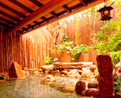 �ɓ��R����@���r�X�^�ɓ��R