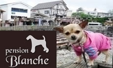 ���É���@�y�b�g�Ɣ����h�@�y���V�����@�u�����V�F����