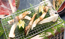 姫路夢前川温泉 里湯ひととき 夢乃井