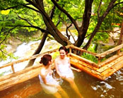 ���J����@���̕��@�g�`�y�t