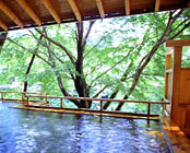 ���J����@���̕��@�g�`�y�t