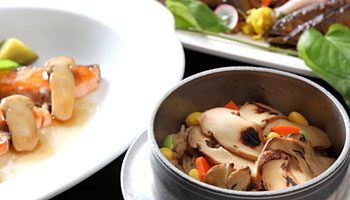 �ߐ{����@�z�e���T���o���[�ߐ{