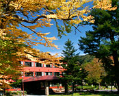 ������������@�����������z�e��