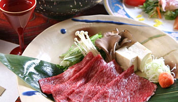 ����˃K�[�f���z�e���Ċx