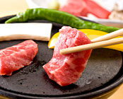 �ɓ�����@�E�F���l�X�̐X�@�ɓ�