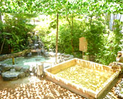 �ɓ�����@�E�F���l�X�̐X�@�ɓ�