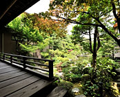 ��������@���{�̏h�@�ׂɂ�