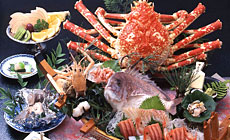 �˓c����@���킢�̏h�@�Ƃ����