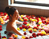 ���ɂ̂��h